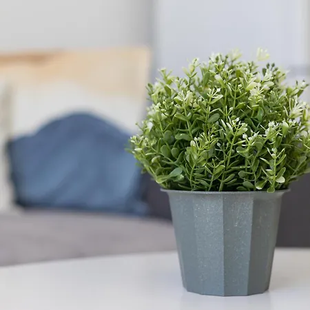 Home2book Cozy Sea View Jandia Beach, Pool * Morro Jable (Fuerteventura)