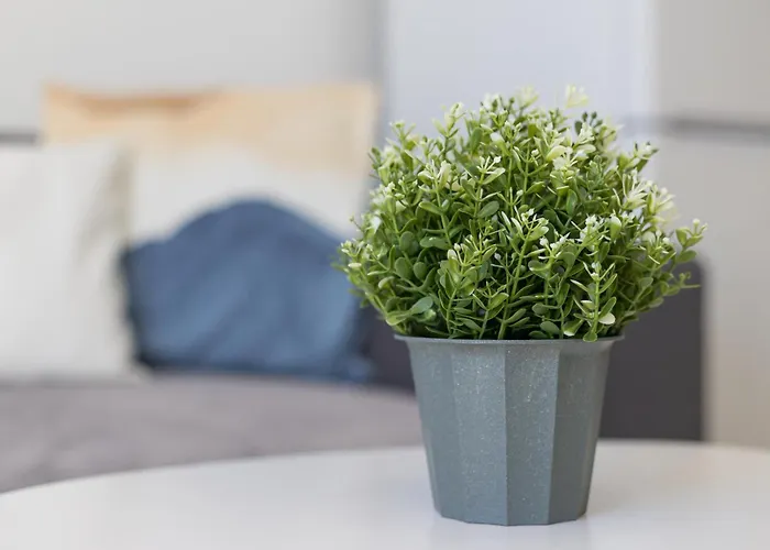 Home2book Cozy Sea View Jandia Beach, Pool * Morro Jable (Fuerteventura)